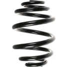 Spidan | Fahrwerksfeder | 56778