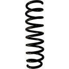 Spidan | Fahrwerksfeder | 87956