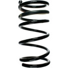 Spidan | Fahrwerksfeder | 55324