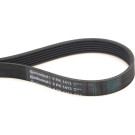 ContiTech | Keilrippenriemen | 6PK1413