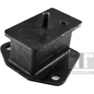 Tedgum | Lagerung, Motor | 00441699