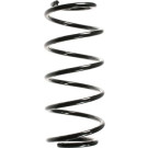 Spidan | Fahrwerksfeder | 56041