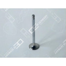 OE Germany | Auslassventil | 05 0520 440001