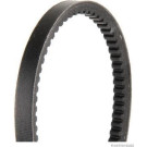 Herth+Buss Jakoparts | Keilriemen | J1171075