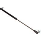 12-1646 Gasfeder, Koffer-/Laderaum 12-1646 Gasfeder, Koffer-/Laderaum