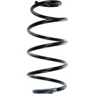 Spidan | Fahrwerksfeder | 55971