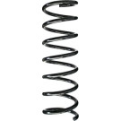 Spidan | Fahrwerksfeder | 86901