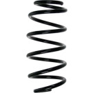 Spidan | Fahrwerksfeder | 56841