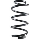 Spidan | Fahrwerksfeder | 87307