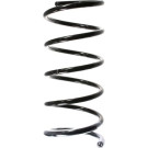 Spidan | Fahrwerksfeder | 49650