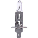 Maxgear | Glühlampe | 78-0049