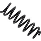 37-289621 Fahrwerksfeder BILSTEIN - B3 Serienersatz (Federn)