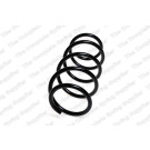 4072965 Fahrwerksfeder