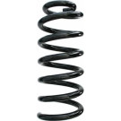 Spidan 2 x SPIDAN Fahrwerksfeder 87695