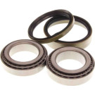 33-0085 Radlagersatz