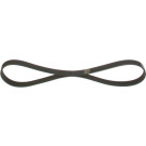 1 987 946 020 Keilrippenriemen