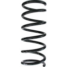 Spidan | Fahrwerksfeder | 87533