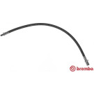 Brembo | Bremsschlauch | T A6 030