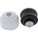 Corteco | Lagerung, Motor | 80000393