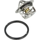 NRF | Thermostat, Kühlmittel | 725080