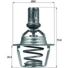 Mahle | Thermostat, Kühlmittel | TX 66 86D