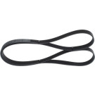 1 987 947 557 Keilrippenriemen