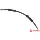 Brembo | Bremsschlauch | T 86 025