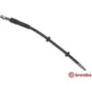 Brembo | Bremsschlauch | T 86 023