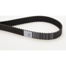 CT1134 Zahnriemen CT1134 Zahnriemen