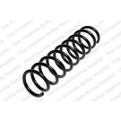 4208425 Fahrwerksfeder