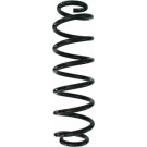 Spidan | Fahrwerksfeder | 87835