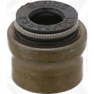 250.950 Dichtring, Ventilschaft