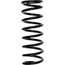 Spidan | Fahrwerksfeder | 55592