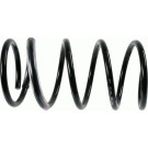 998 579 Fahrwerksfeder