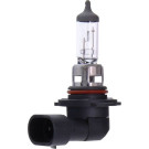 Maxgear | Glühlampe, Nebelscheinwerfer | 78-0143