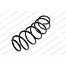 4015649 Fahrwerksfeder