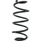 Spidan | Fahrwerksfeder | 87126