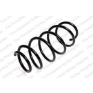 4027598 Fahrwerksfeder