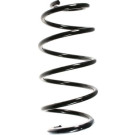 Spidan | Fahrwerksfeder | 55968