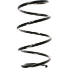 Spidan | Fahrwerksfeder | 55096