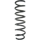 Spidan | Fahrwerksfeder | 87732