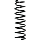 Spidan | Fahrwerksfeder | 49762