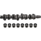 FEBI BILSTEIN 33195 Nockenwellensatz FEBI BILSTEIN 33195 Nockenwellensatz