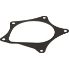 876.160 Dichtung, Wasserpumpe