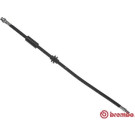 T 06 036 Bremsschlauch ESSENTIAL LINE