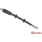 Brembo | Bremsschlauch | T 85 052
