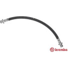Brembo | Bremsschlauch | T 78 012