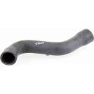 Vaico | Kühlerschlauch | V30-1624