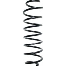 Spidan | Fahrwerksfeder | 56579