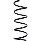 Spidan | Fahrwerksfeder | 55755